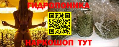дмт Изобильный
