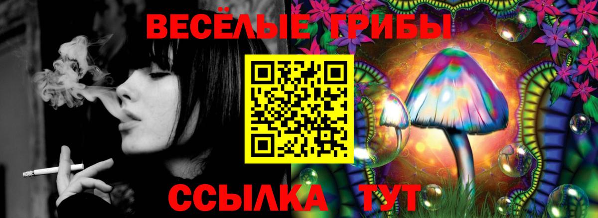 Галлюциногенные грибы GOLDEN TEACHER  Вход с VPN  Майский 
